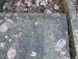 image of grave number 778916
